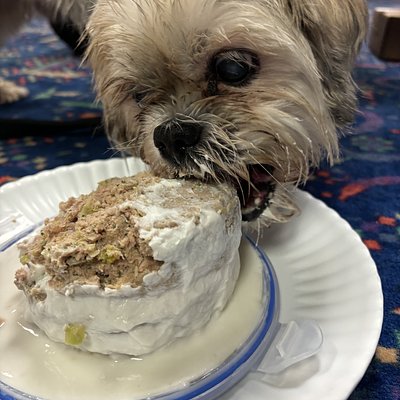 Doggy Birthday Cake