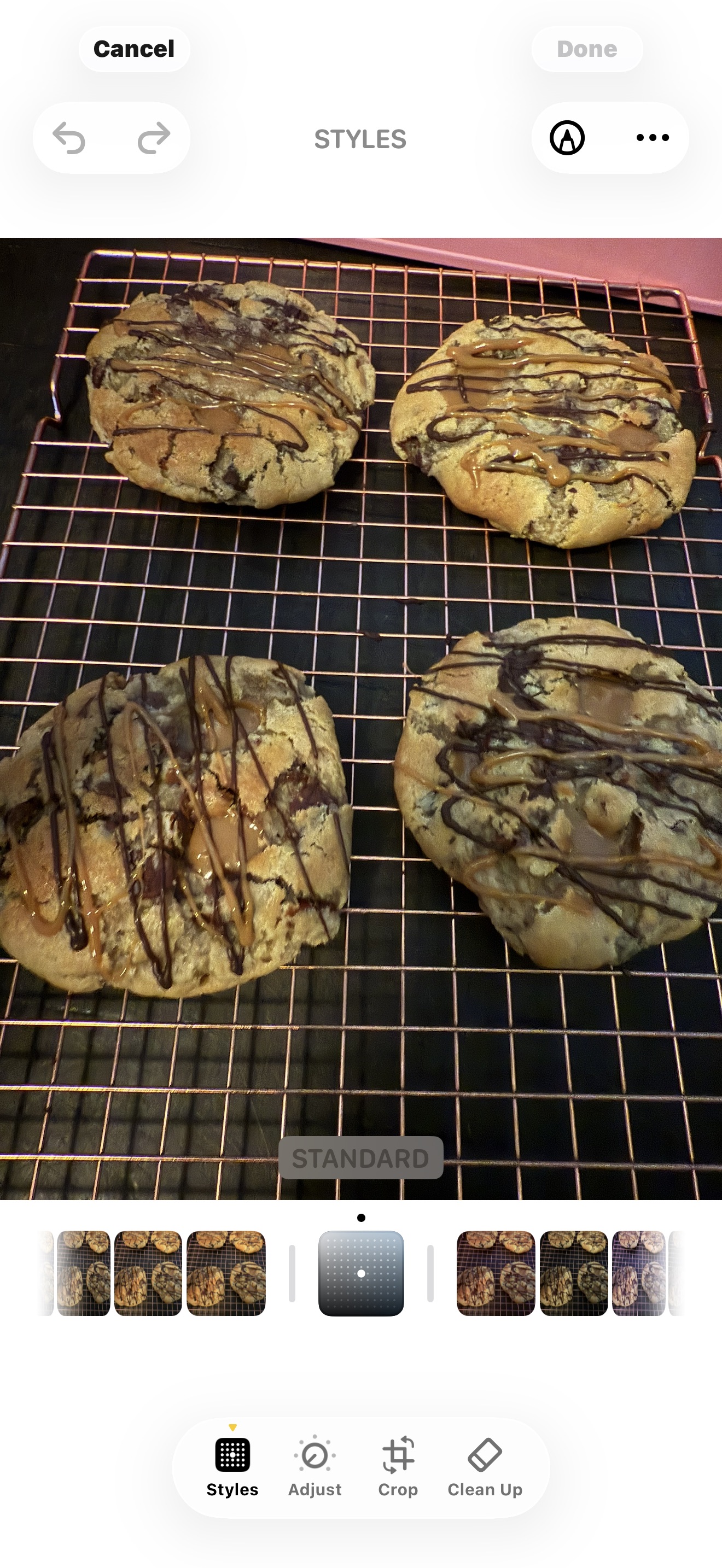 Turtle Cookie 
