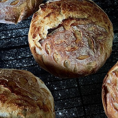 Signature Boule