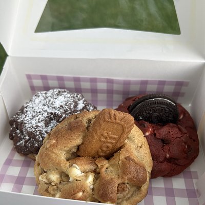Mix n Match Box 3-pk
