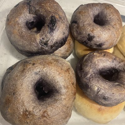 Blueberry Sourdough Bagels - 6 