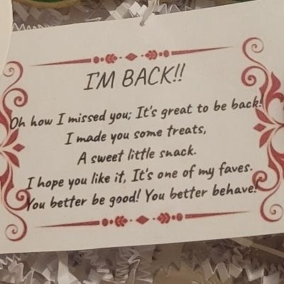 Elf On The Shelf I'm Back Box Set