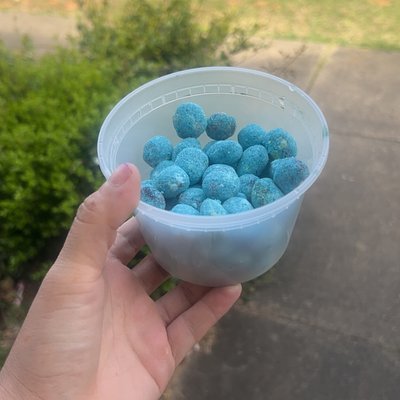 Candied Gushers