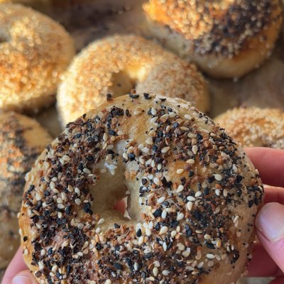 Everything Bagel (8)