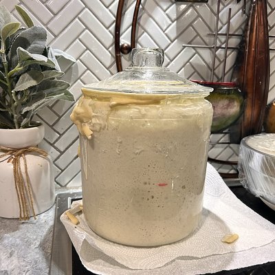 Active Sourdough Starter With Instructions