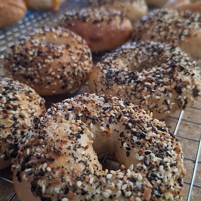 Everything Bagel - 6 Pack