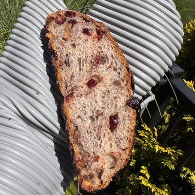 Cranberry Walnut Sourdough
