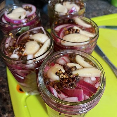 Folk Learning -  Preserving Quick Pickles & Pickled Onions -8/8/26 1pm @The Rustic Roost