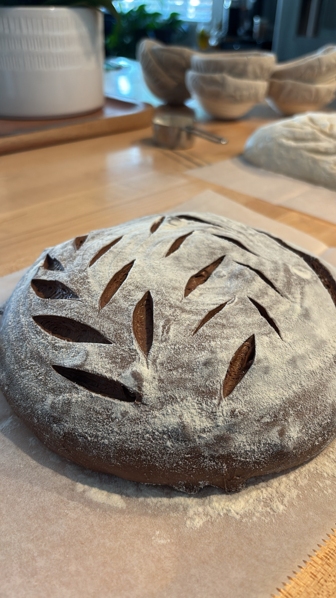 Double Chocolate Sourdough 