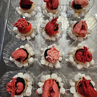 Organ Cupcakes 