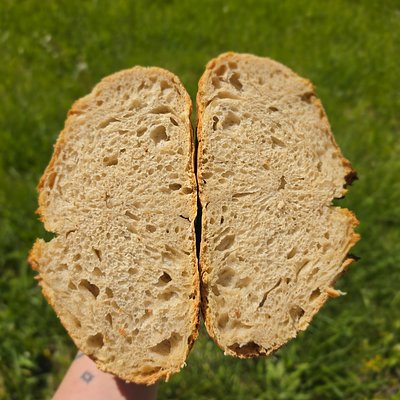 Classic Sourdough 