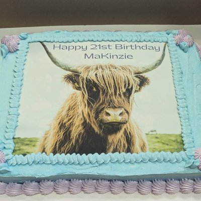 1/2 Sheet Cake 