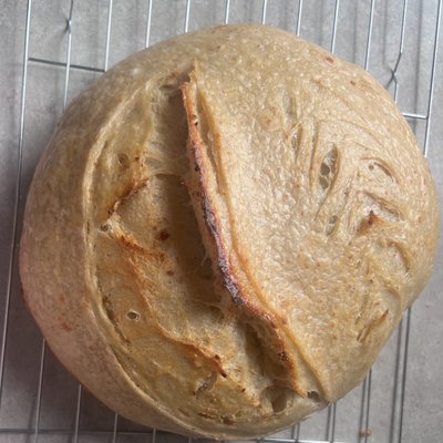 Garlic parm Sourdough Loaf 