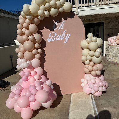 Balloon Garland + 1 Backdrop