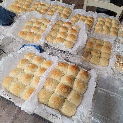 Dinner Rolls