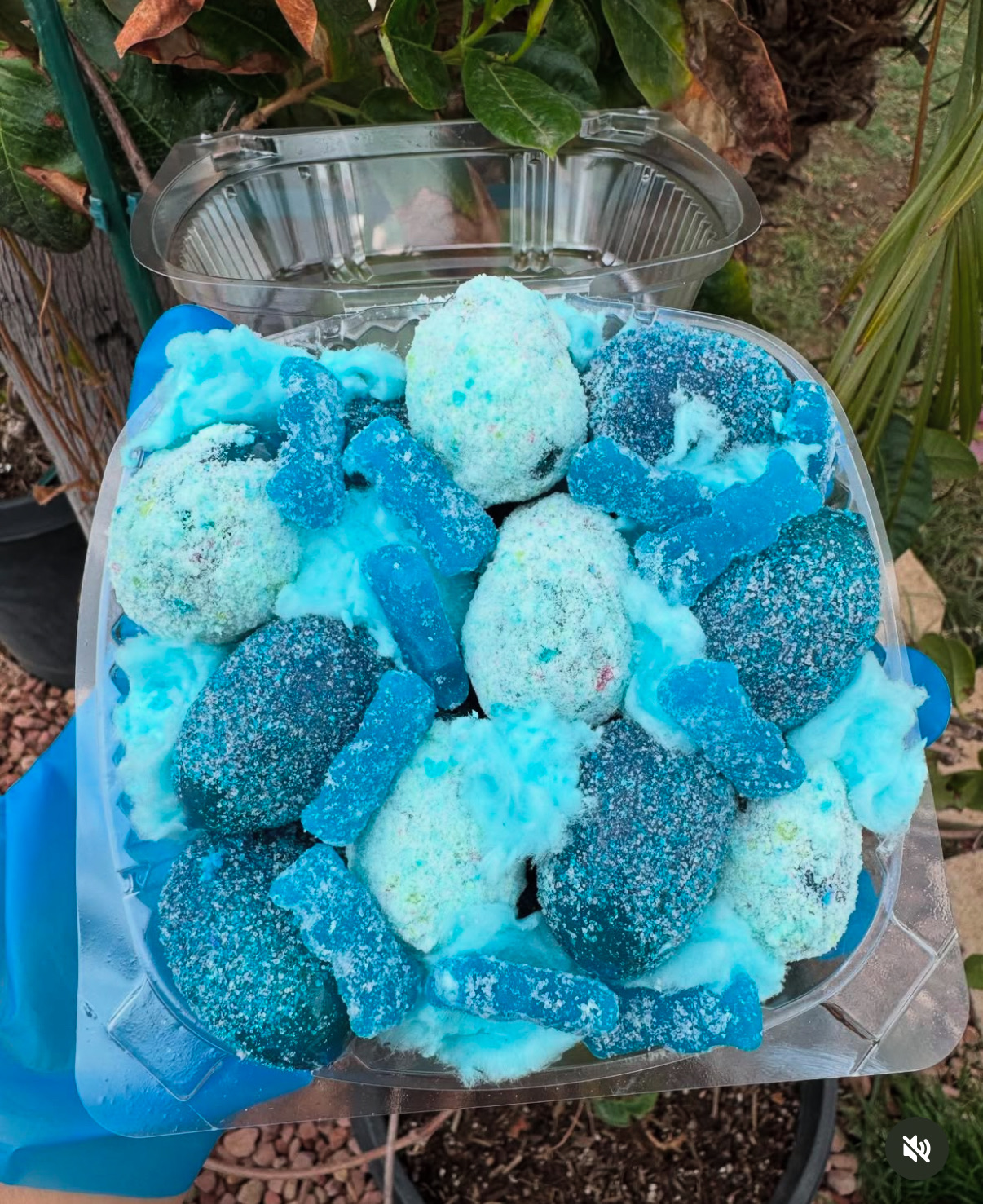Xtreme Sour Blue Razz X Cotton Candy & Sour Patch