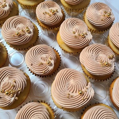 Vanilla Cupcakes