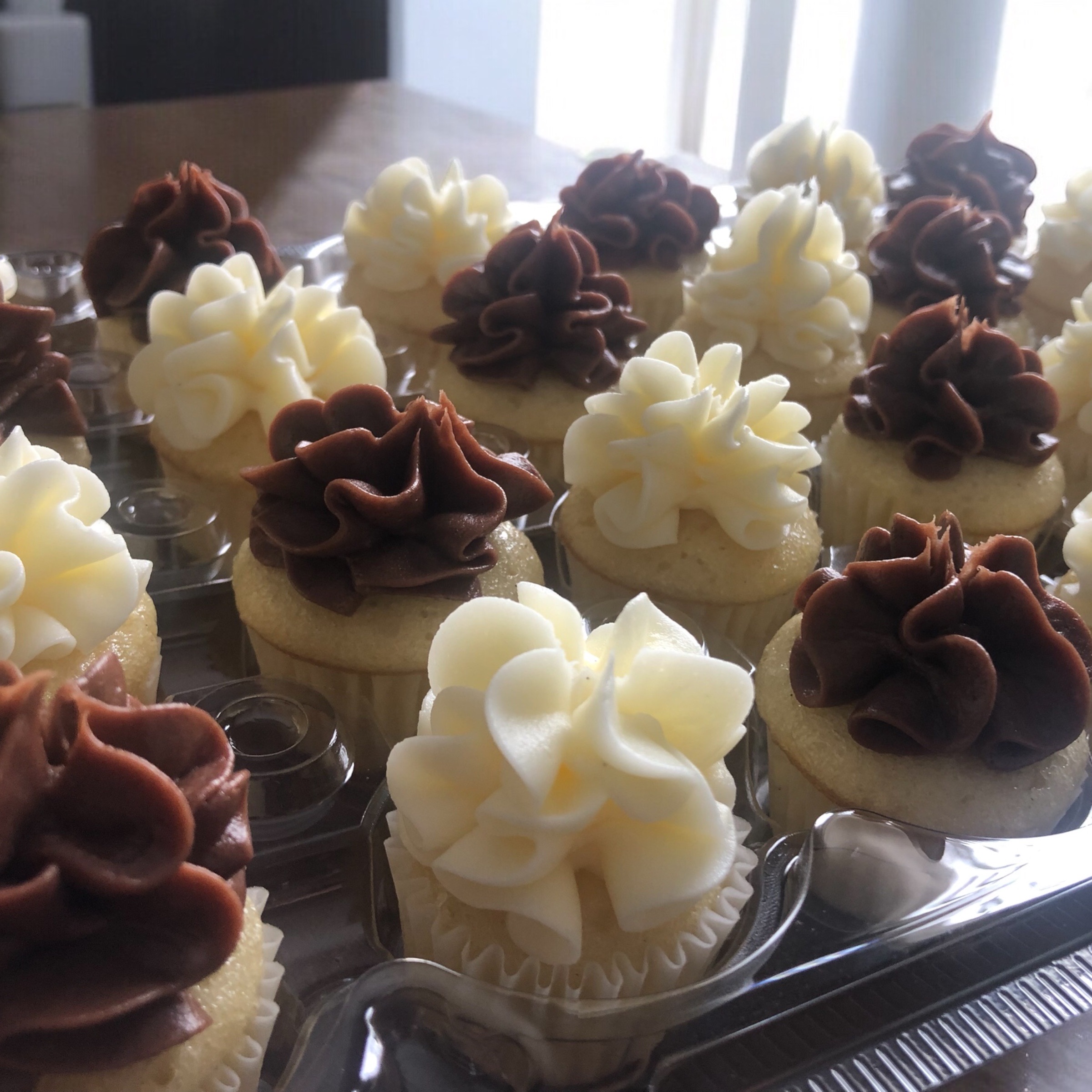 Mini Cupcakes  -  2 Dozen Minimum