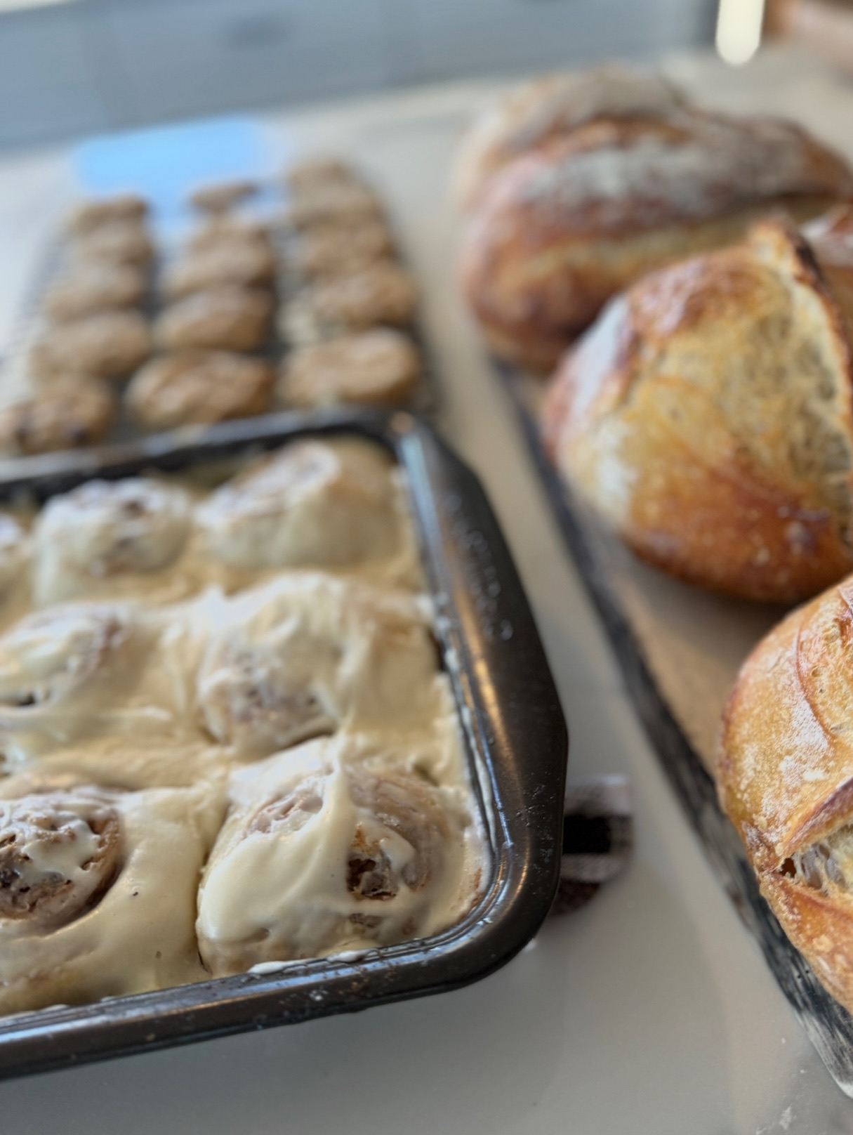Sourdough Cinnamon Rolls (6 Pack)