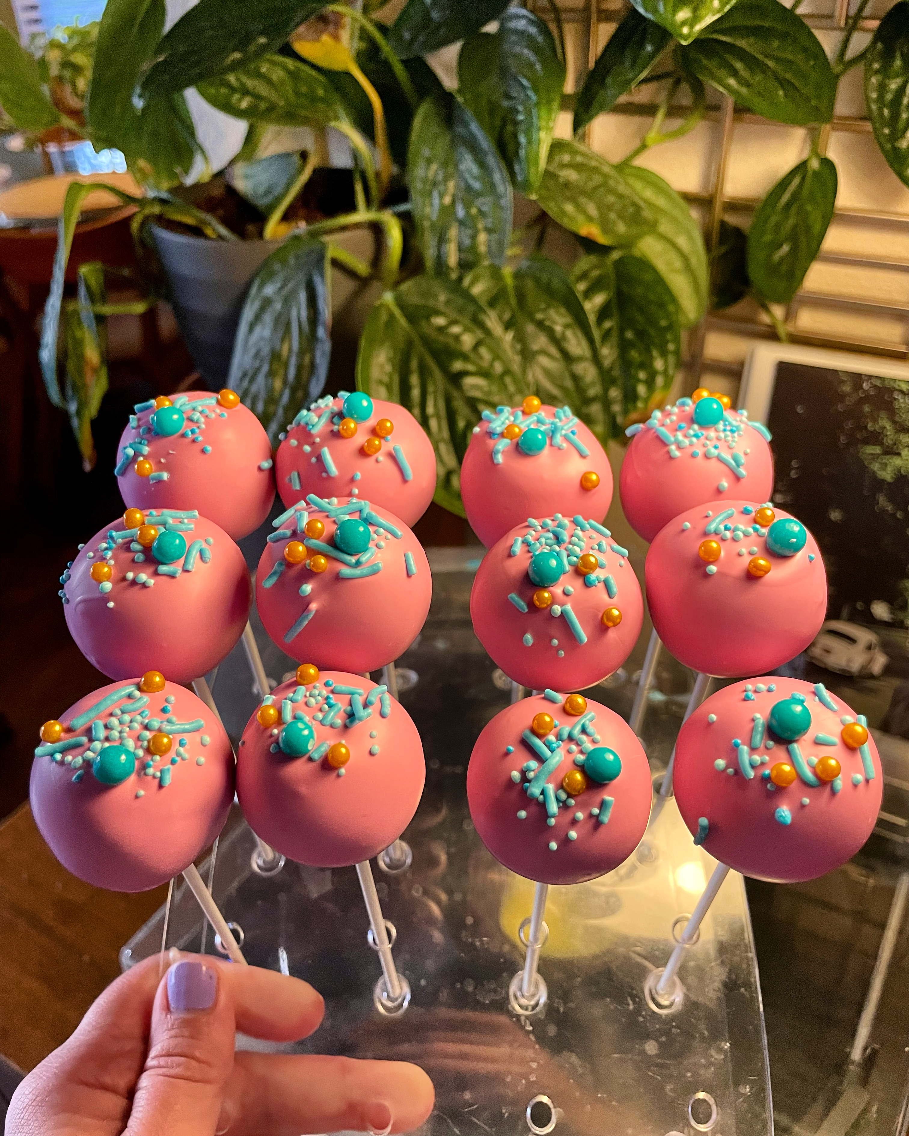 Basic Dozen ~ Cake Pops