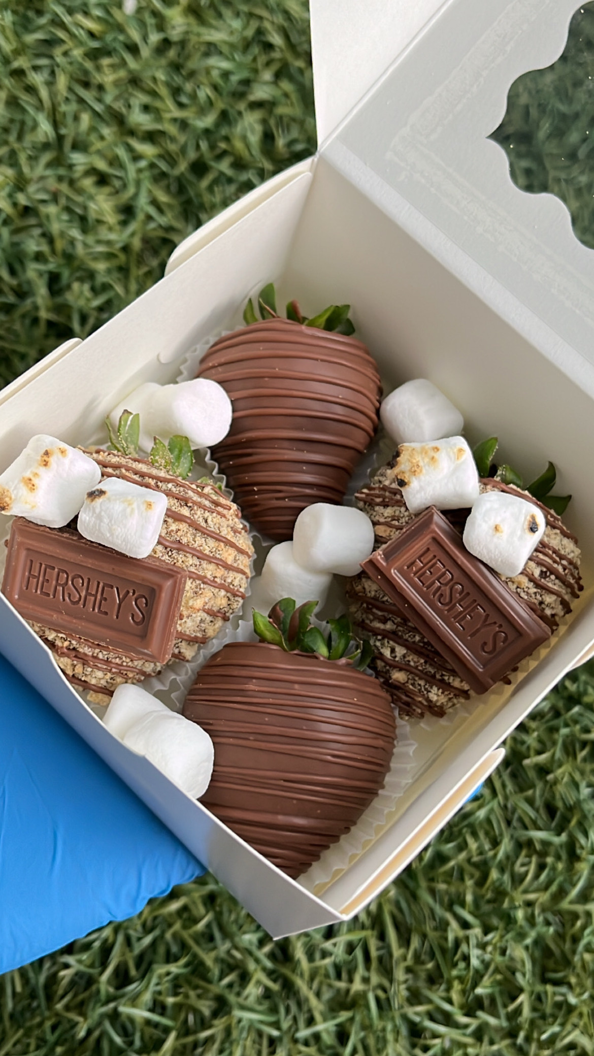 4ct Chocolate Covered Strawberries