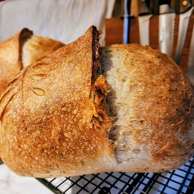 Plain Sourdough