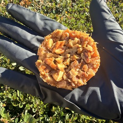 Mini Pecan Pies