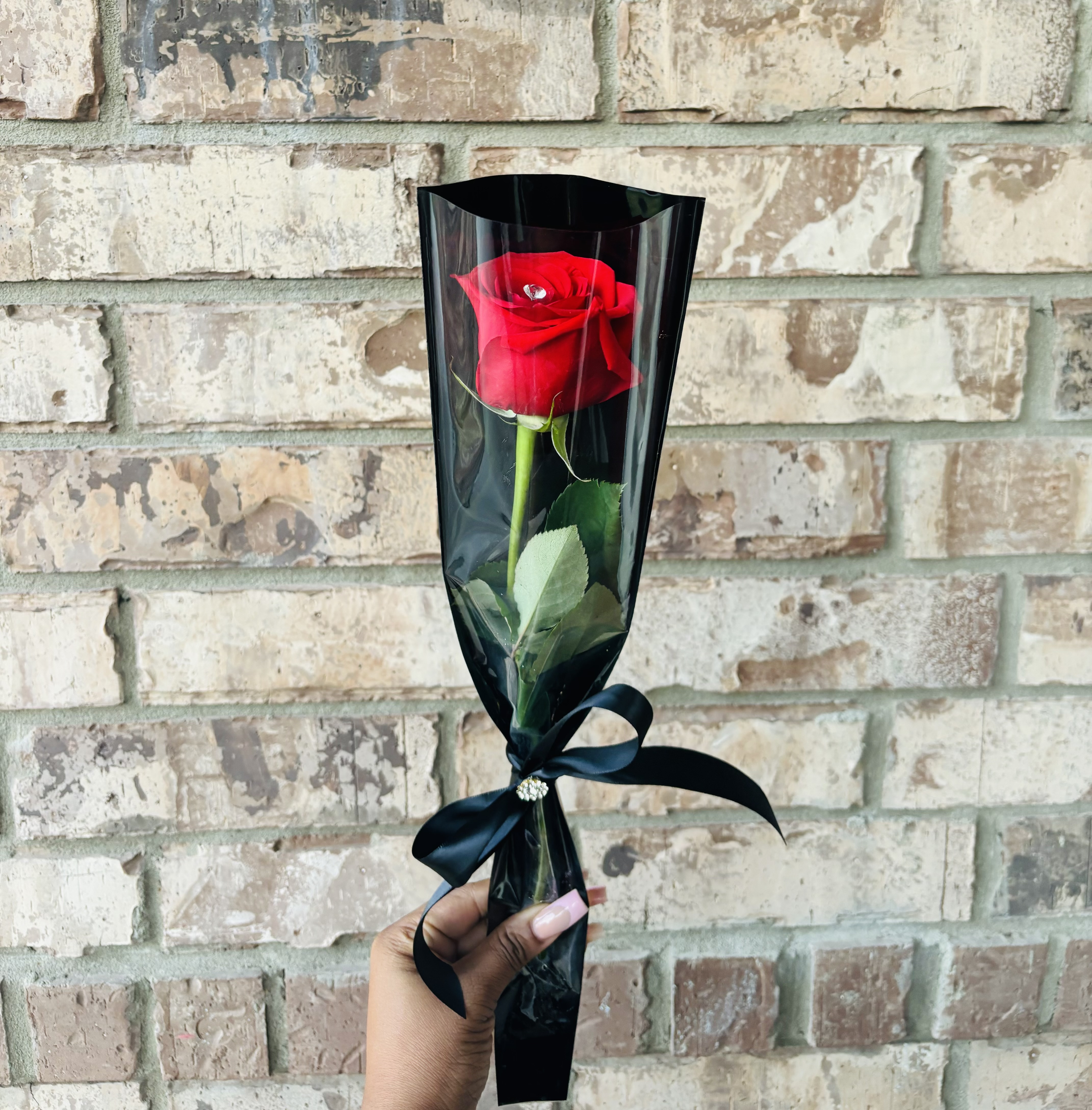 Single Red Rose 🌹 