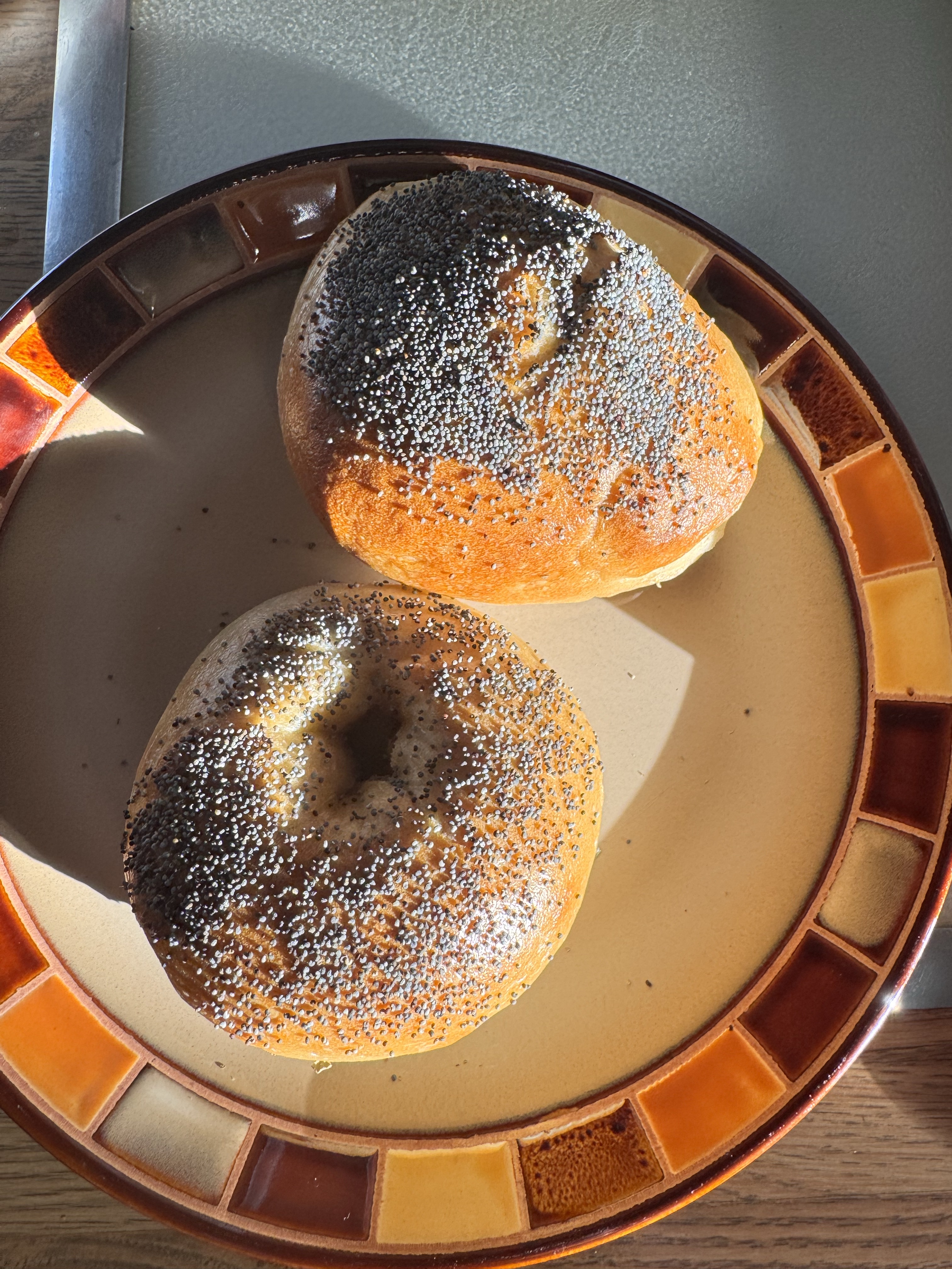 🫙Sourdough Poppy Seed Bagel Pack Of 6