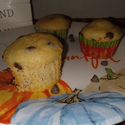 Chocolate Chip Muffin Bites