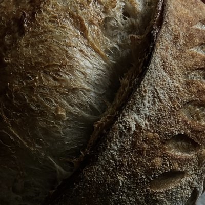 Classic Sourdough Batard (Oval)