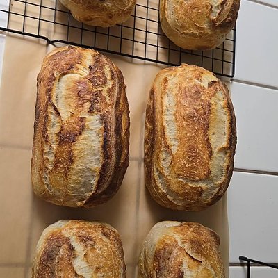 Classic Sourdough Loaves