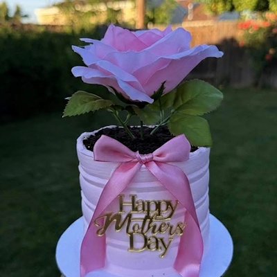 Flower Pot Bloom Cake