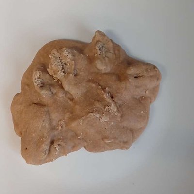 New Orleans Styled Pralines