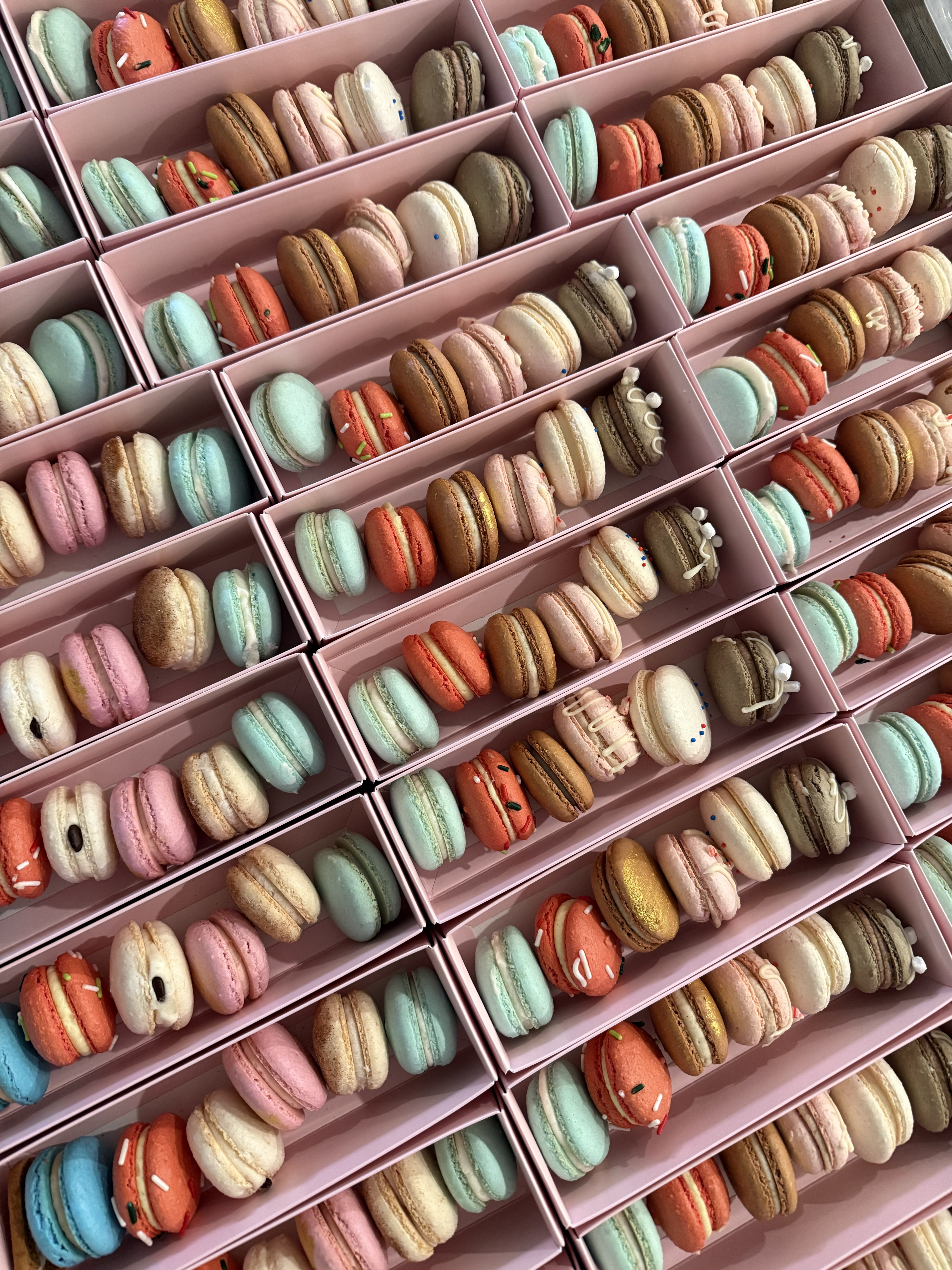 1 Dozen Macarons 