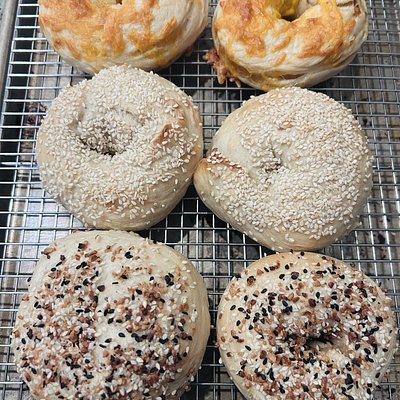 Bagel (6 Pack)