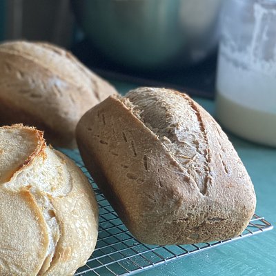 Whole Wheat Sourdough Sandwich Loaf