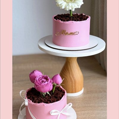 Flower Pot Cake 