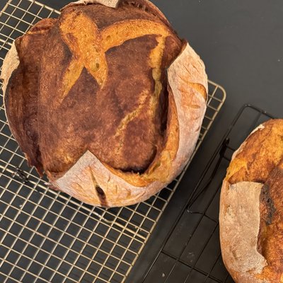 Pumpkin & Cinnamon Sugar Sourdough Boule (traditional)
