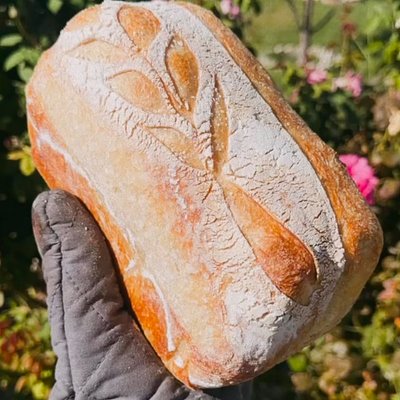 Regular Sourdough Loaf