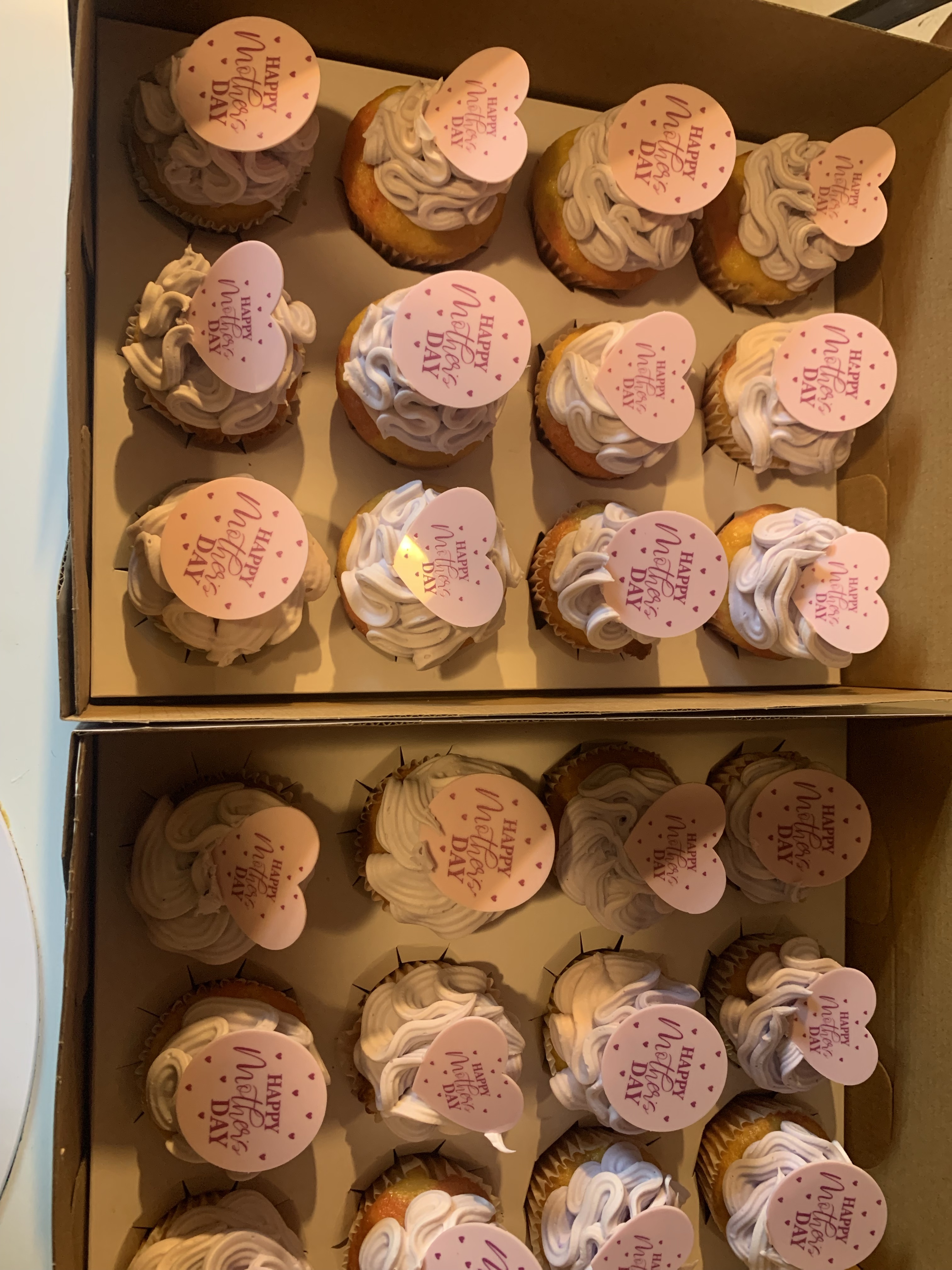  Dozen Cupcakes