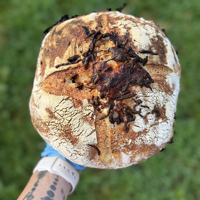 Sautéed Onion & Cheese 