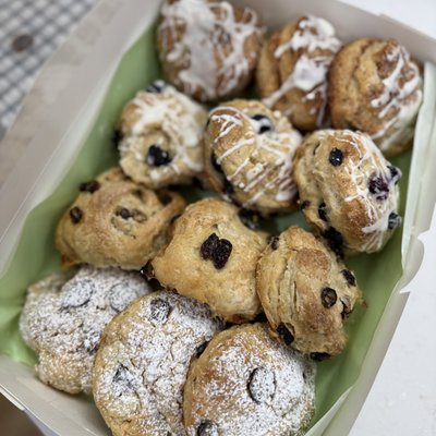 Baker’s Choice Scones - Dozen