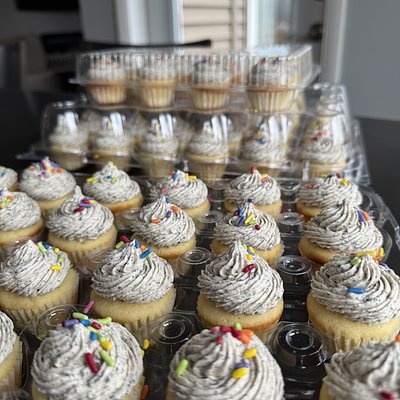 Mini Cupcakes