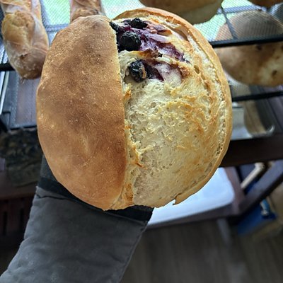 Blueberry-Lemon Sourdough