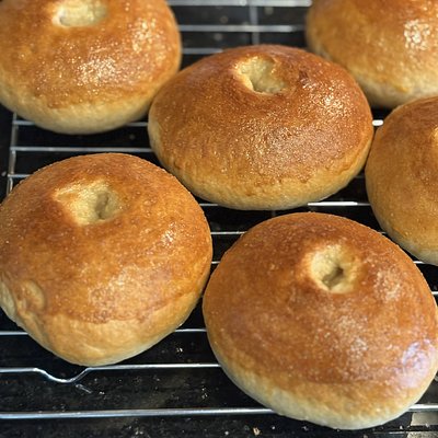 Sourdough Organic Bagles Plain (4 pack)