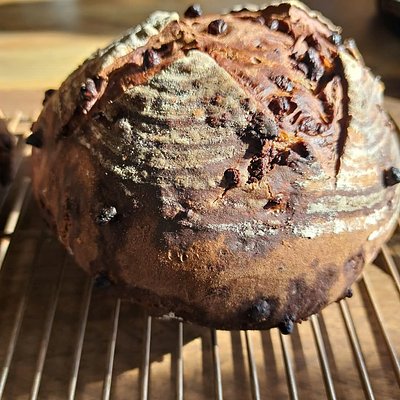 Double Chocolate Sourdough Loaf