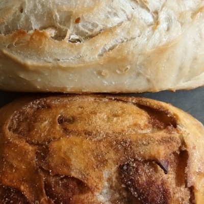 Crusty Garlic Sourdough Loaf