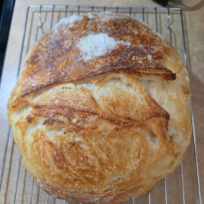Sourdough Bread Classic Loaf