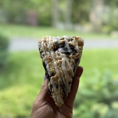 Sourdough Lemon Blueberry Scone